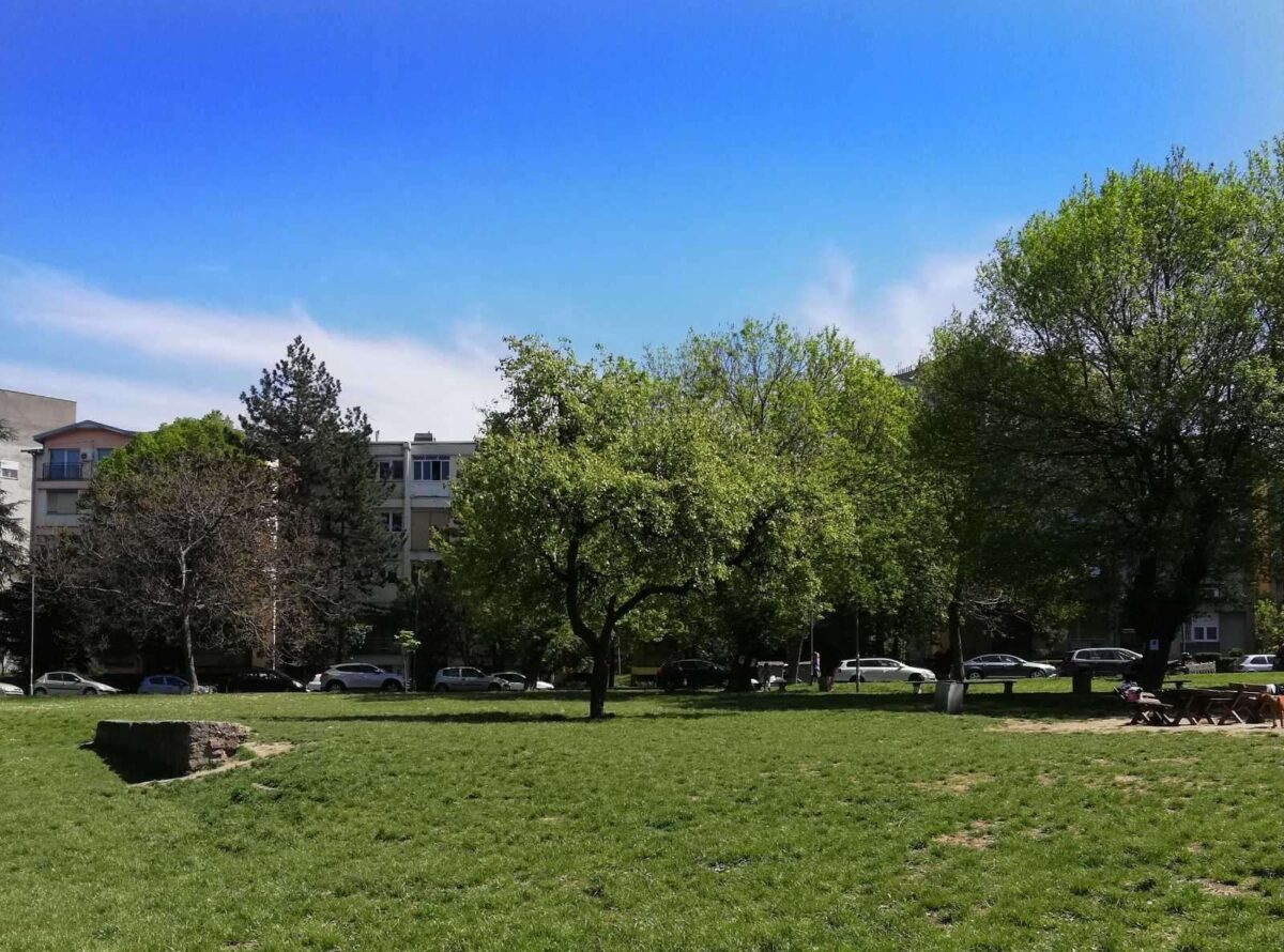 Zelena površina na Zvezdari