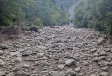 457883438_1310450366587125_7860237165002098133_n