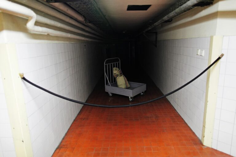 Narodna Banka Srbije, trezor