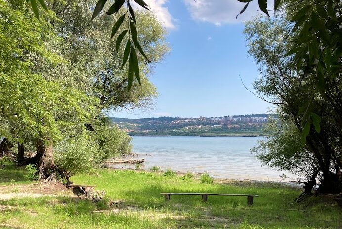 Bara Reva; Foto: Bela Čaplja