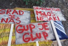 grad je naš novi sad ekološki front (1)