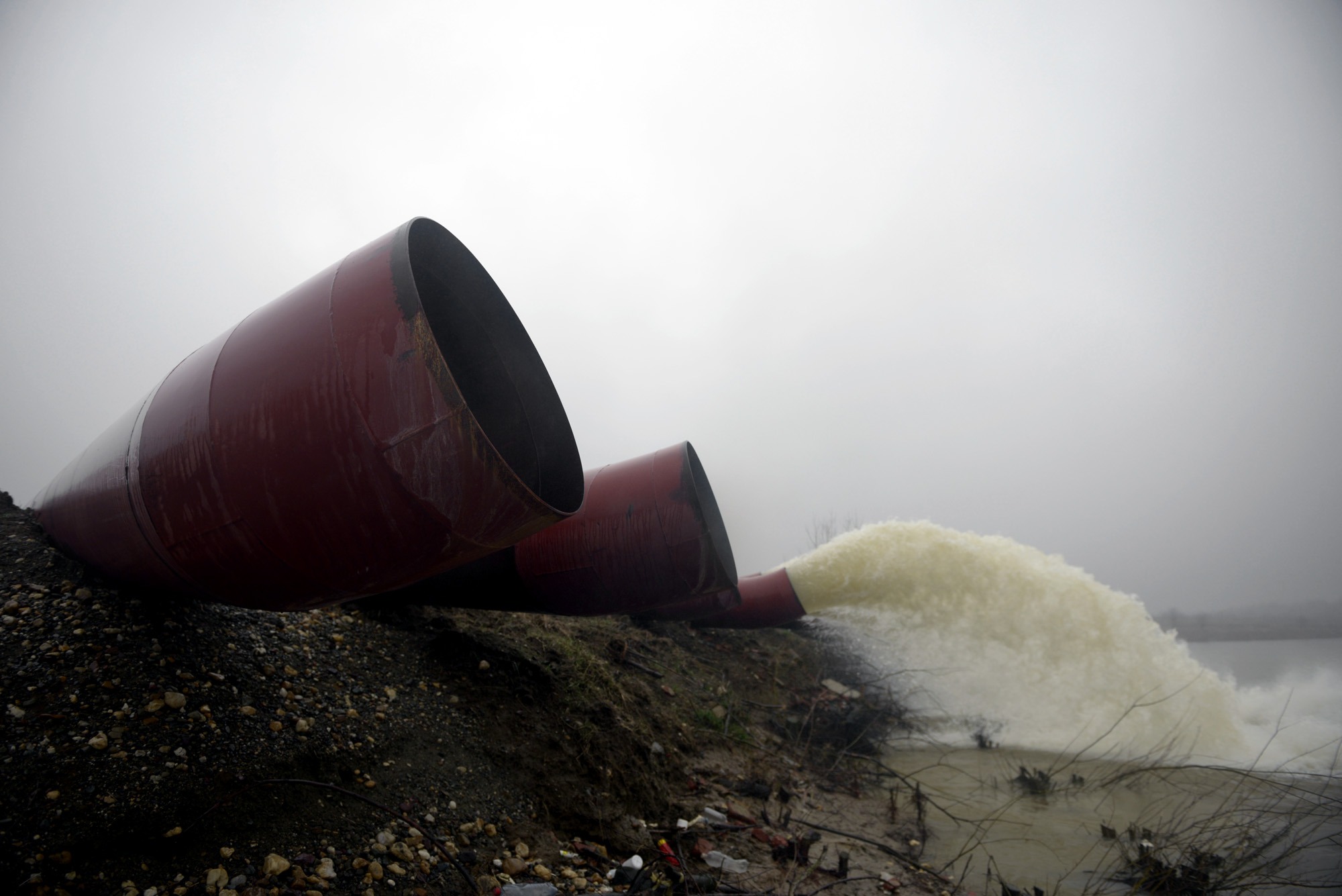 foto Milovan Milenković / Kamerades