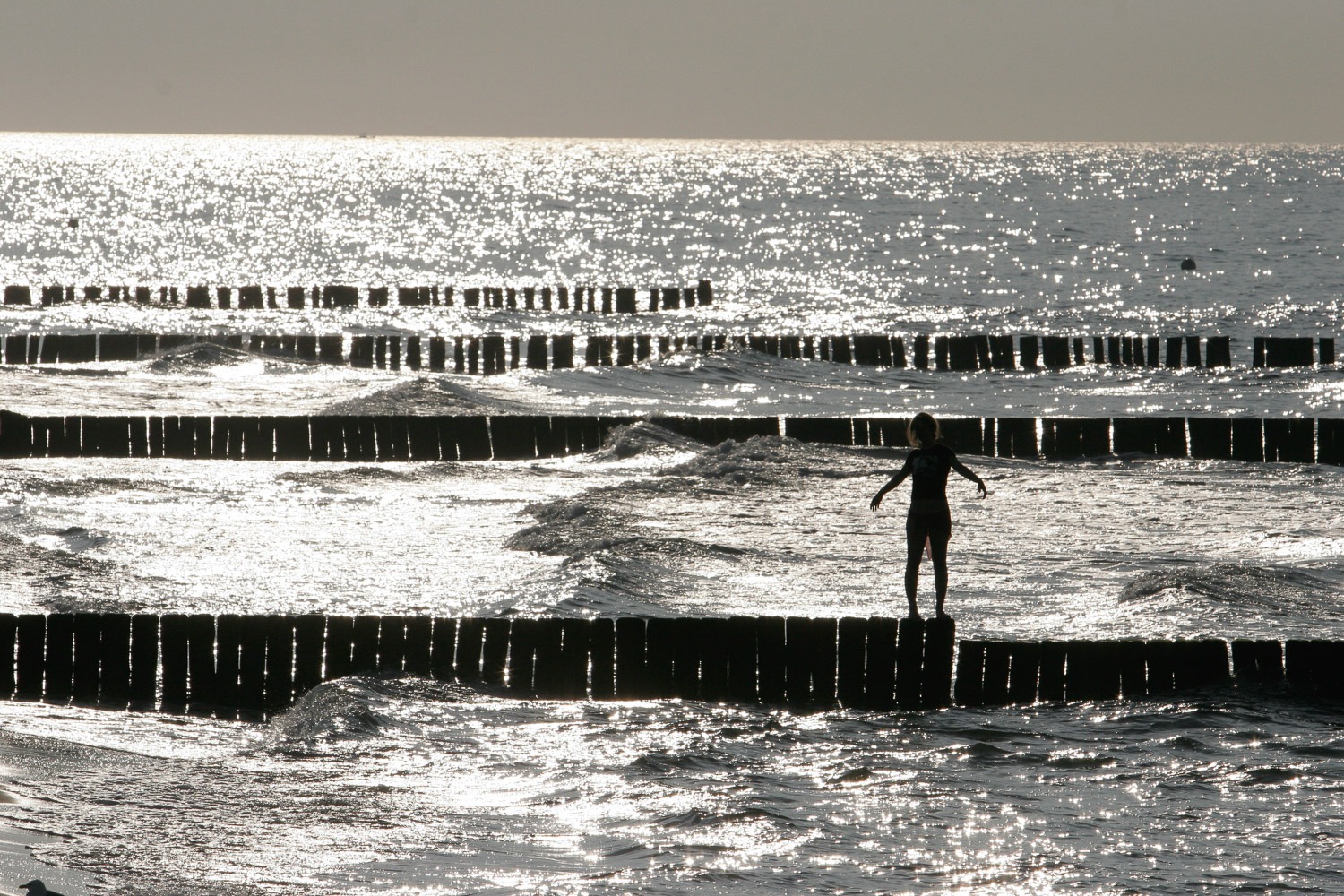 foto: Marko Rupena / Kamerades
