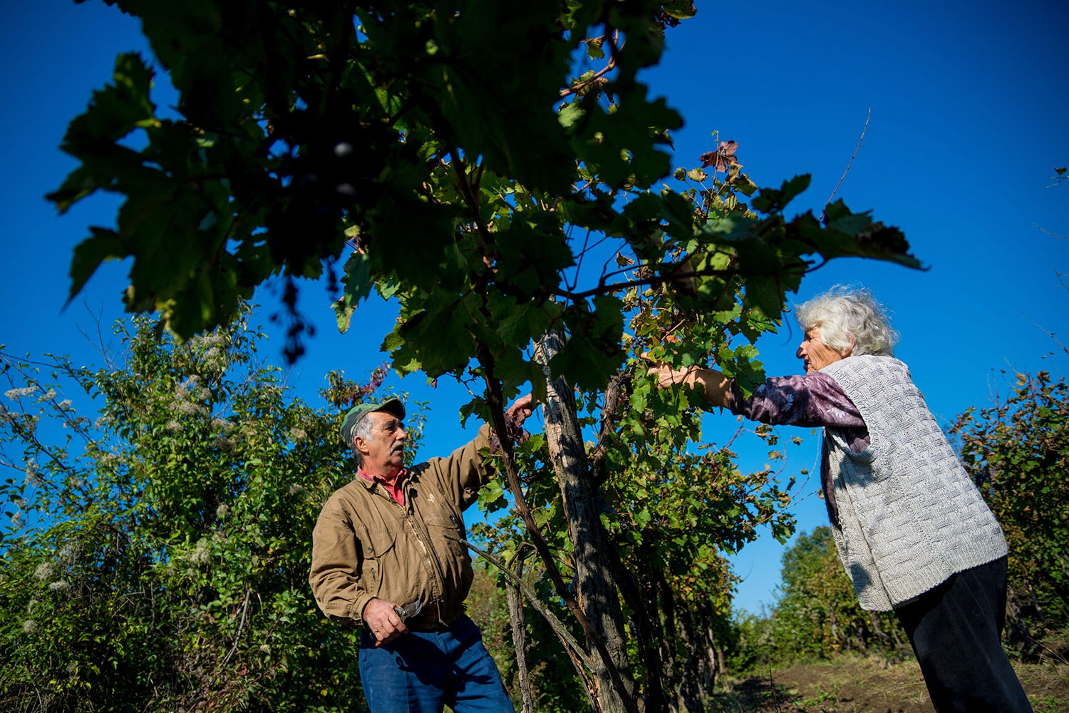 foto: Marko Rupena / Kamerades