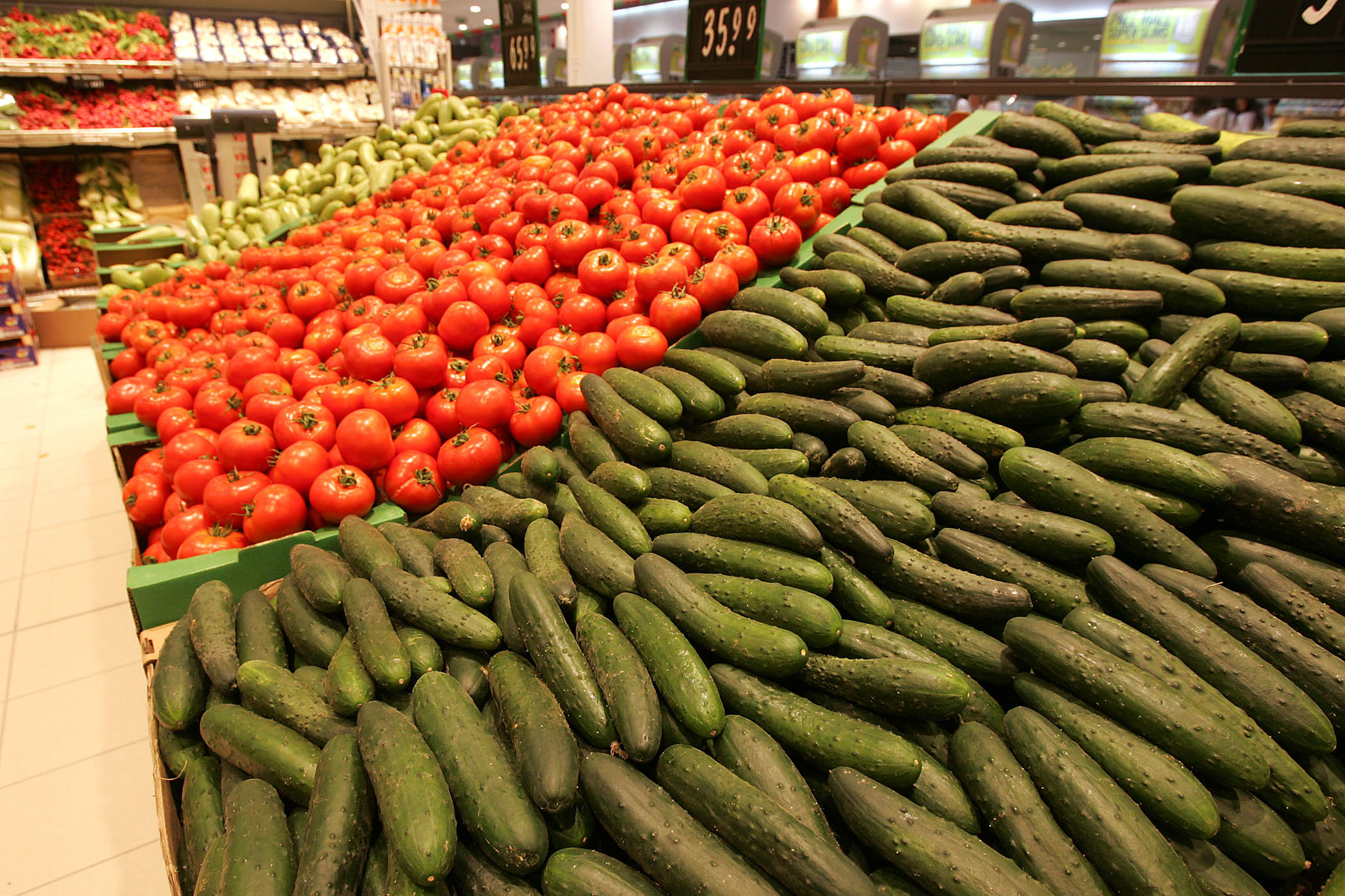 Nemanja Jovanović / Kamerades