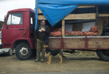 ljudi, hrana, krompir