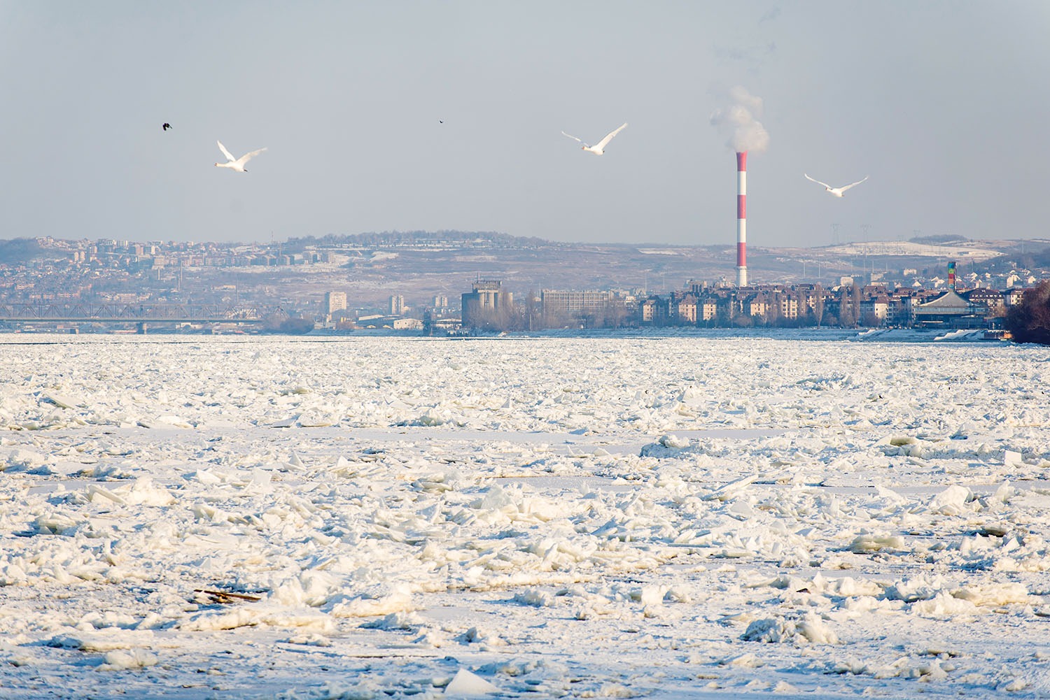Foto: Marko Rupena / Kamerades