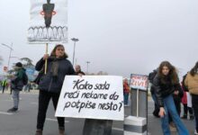 photo_2024-11-17_12-05-41