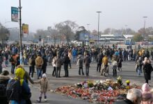 photo_2024-11-17_12-19-08