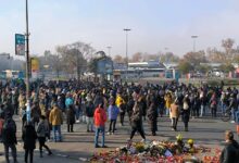 photo_2024-11-17_12-46-24