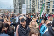 photo_2024-11-26_12-33-15