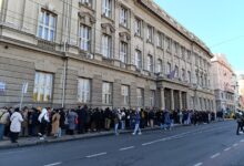 photo_2024-11-21_11-50-18