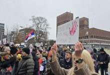 Skup podrške demonstracijama u Nišu, Oslo; Foto: Aleksandra Tanasković
