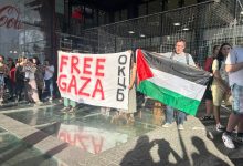 palestina protest