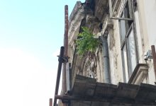 photo_2025-07-18_11-29-59