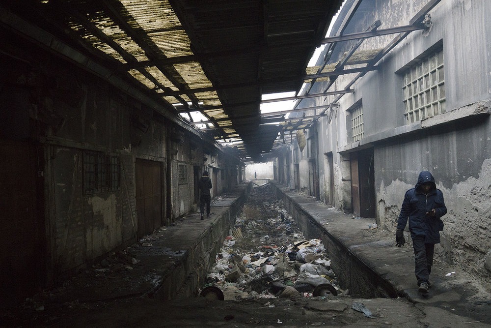 foto: Davor Konjikušić / www.davorko.net