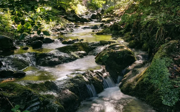 Reke Kraljeva; Foto: Tijana Jevtić