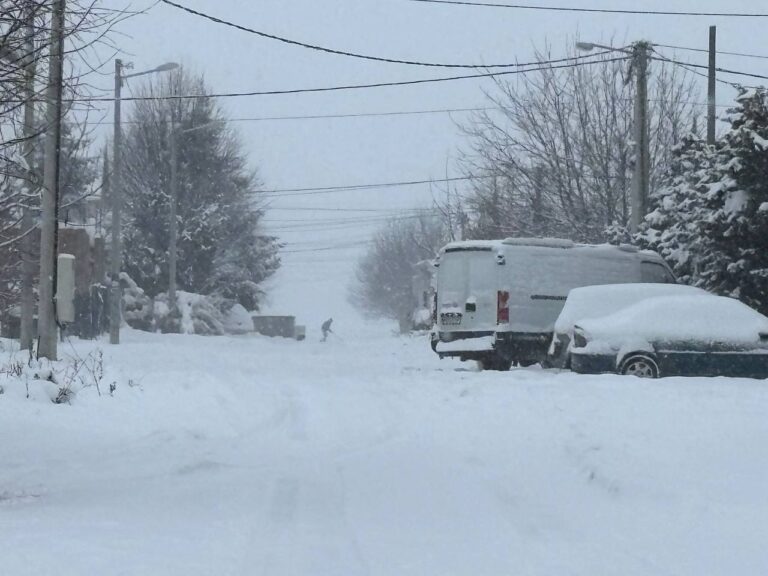 Ledeni dani u Srbiji, januar 2026