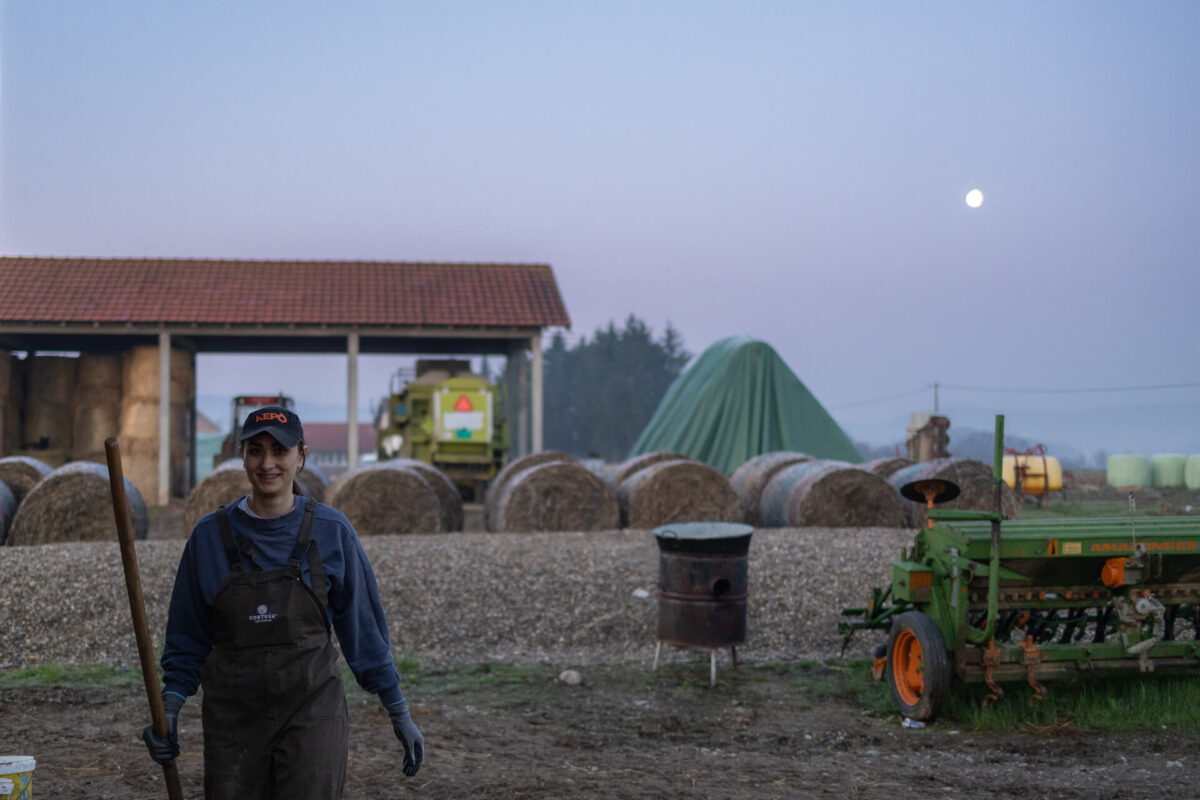 Početak radnog dana na gazdinstvu porodice Kokanović